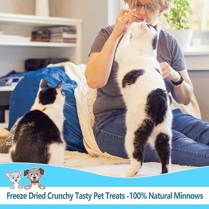 Minnows 8 oz Freeze Dried Minnows, 100% Natural Premium Cat & Dog Treats, Freeze Dried Pet Treats for Cats Dogs Bulk Package (8 OZ)