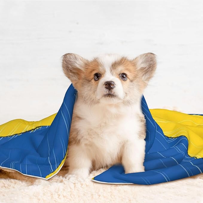 Double Sided Pet Throw for Dogs Who Shed, Abstract Ukraine Flag, Reversible Blanket with Nubby Dot Side Catches Loose Fur for Easier Furniture Cleanup