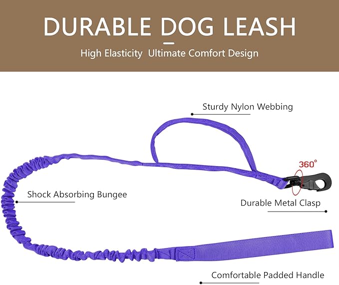 DAGANXI Tactical Dog Collar, Adjustable Military Training Nylon Dog Collar with Control Handle and Heavy Metal Buckle for Medium and Large Dogs, with Patches and Airtags Case (Purple-Set, XL)