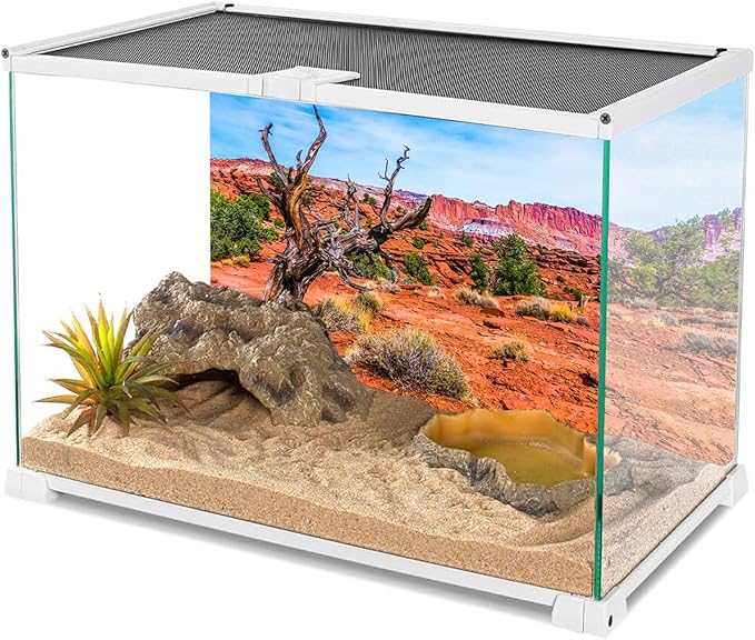 AWERT 60x24 inches Reptile Habitat Background Blue Sky Oasis Orange Desert Terrarium Background