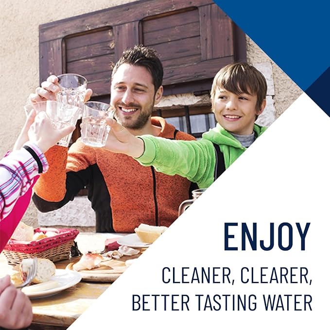 Pentair Pentek GAC-BB Big Blue Carbon Water Filter, Whole House Heavy Duty
