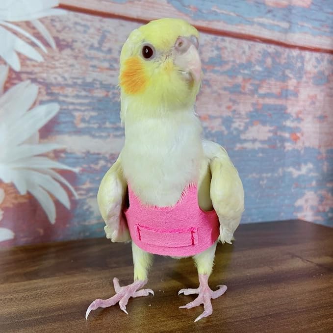 Bird Flight Harness Vest, Parrot Flight Suit with Leash for Parakeets Cockatiels Conures Budgies, Bird Flying Clothes with Rope and Handle for Outdoor Activities Training (S, Pink)