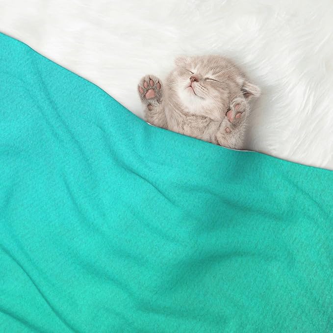 Waterproof Dog Blanket Soft Pet Blanket for Puppy Cat, Fleece Cat Throw Blankets for Furniture Bed Couch Sofa Reversible - Turquoise Light Blue