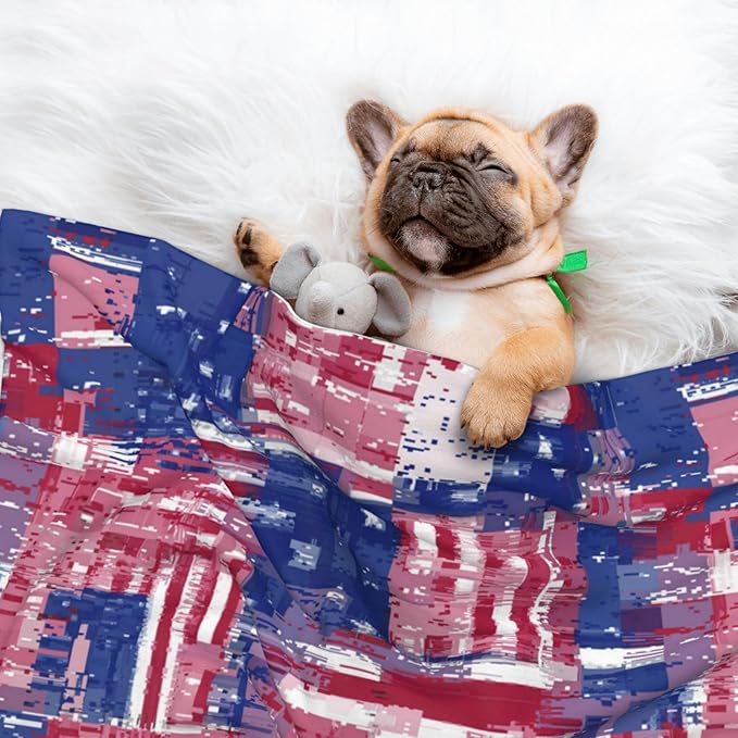 Two Sided Plush Pet Blanket for Crates Carriers Home Use, American Flag and Colored Balloons, Reversible Throw with Cozy Dot Fabric and Silky Reverse for Small Large Pets