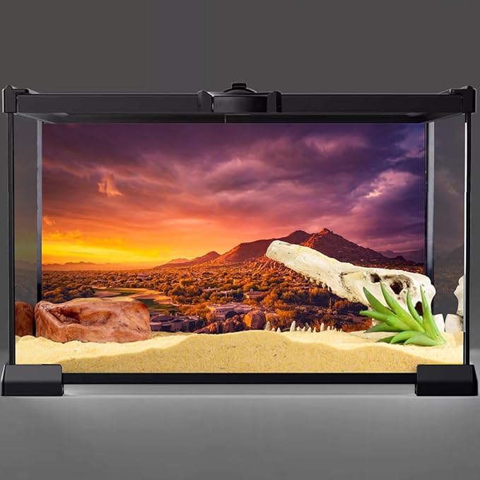 AWERT 60x24 inches Sun and Desert Terrarium Background Mountain Oasis Gobi Reptile Habitat Background Vinyl