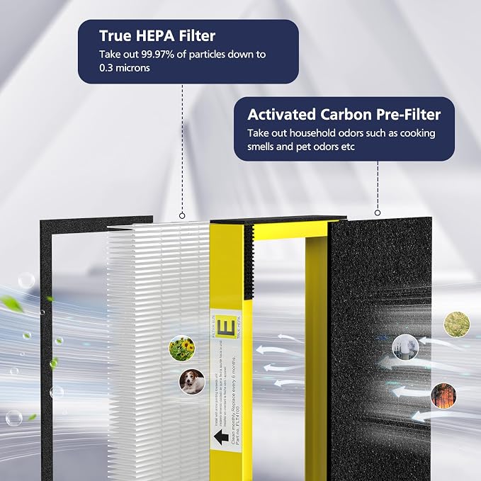 FLT4100 Replacement Filter E for Guardian AC4100, AC4150P Technologies Models