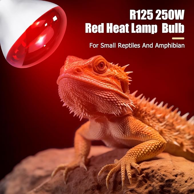 250W Infrared Heat Lamp for Chicken, Red Heat Light Bulb R125 1 Pack, Heat Lamp Bulb for Chick Croop, Reptiles, Pets, Food