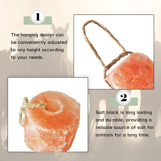 Himalayan Pink Deer Salt Lick on Rope Pack of 2 Natural Organic Mineral Intake Long Lasting Hunting Animal Salt Lick Block for Horses,Cattle,Sheep Livestock(4.8-6.6 lbs)