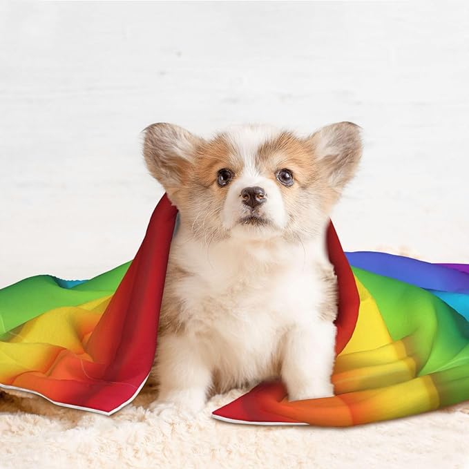 Double Sided Plush Pet Blanket with Cozy Dot Texture and Smooth Reverse, Colorful, Reversible Throw for Dogs Cats on Couches Beds Crates