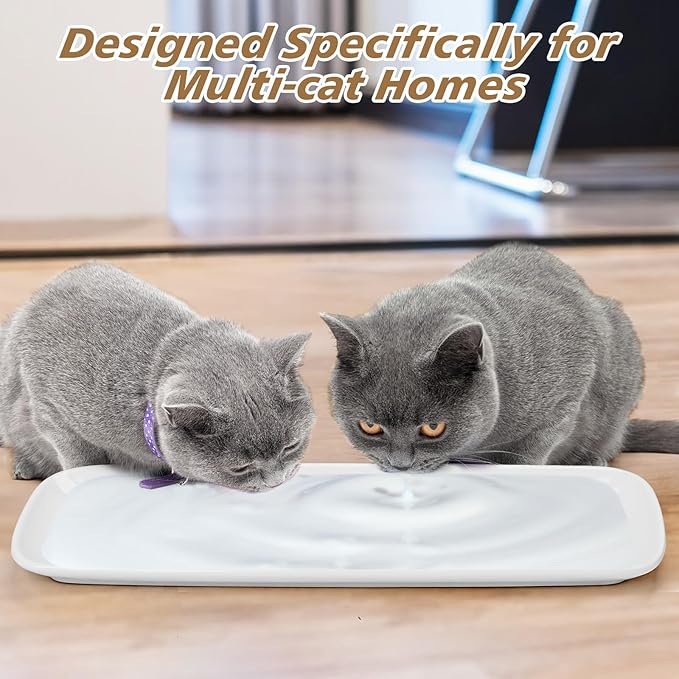 Cat Food Bowl,Extra Wide Ceramic Bowls for Multi-Cat Family and Flat Face Cats,Anti Whisker Fatigue Dishes Shallow Kitten Plates for Food and Water