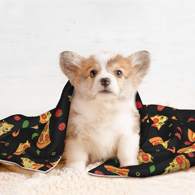 Pet Blanket for Travel and Home, Cartoon Pizza Slices, Reversible Plush Dot Design with Soft Grip Texture on One Side Perfect for Car Seats Moving Vehicles