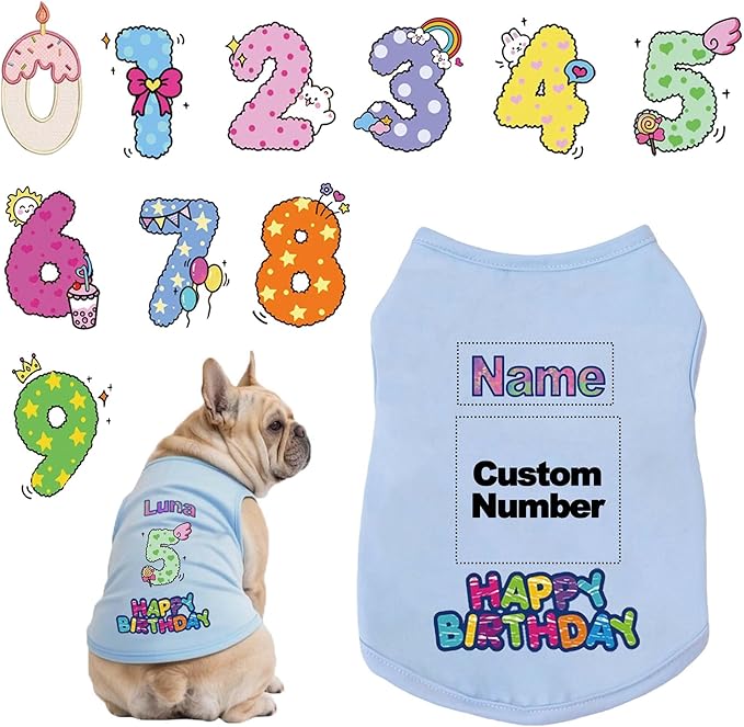 Custom Dog Birthday Shirt,Personalized Pet Apparel Print with Name Age Number,Pet Birthday Outfit,Lightweight Breathable Cotton Vest for Small Medium Large Dogs Cat (Blue, 3X-Large)