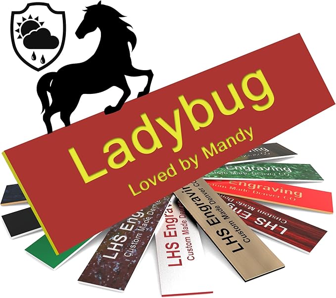 Horse Stall Name Plate, 2x6 Personalized Stall Signs, UV Protected, All Weather Adhesive, Hanging, Mounting or Other, Red Plastic Yellow Letters - Made in USA - B22