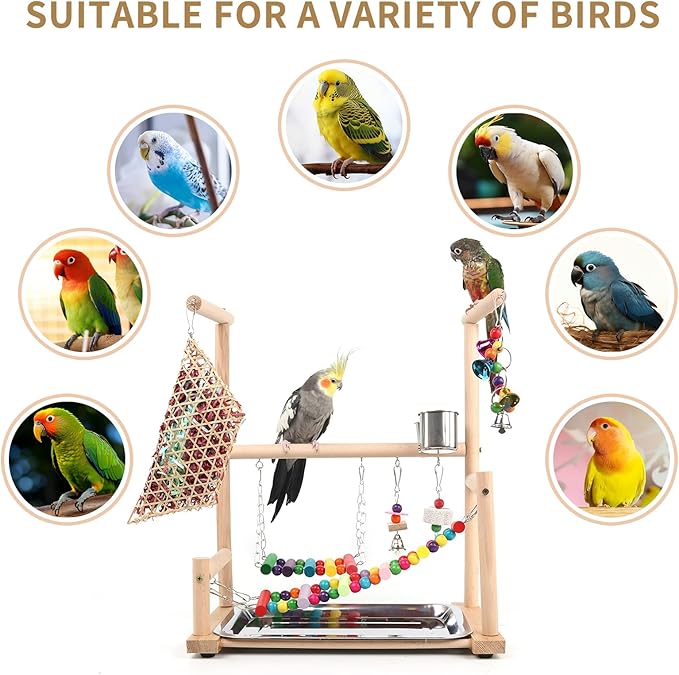 Bird Playground, Playstand for Parrot Cage Accessories (A Ladder with chew Toy)