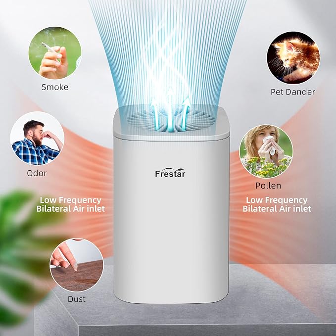 Desktop Air Purifier with HEPA Filter