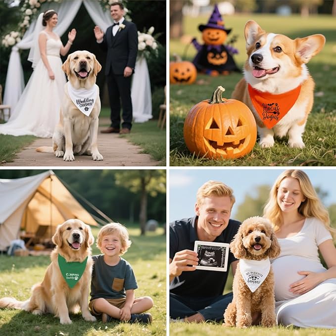 Official Baby Food Tester Funny Dog Bandana Pregnancy Announcement, Pregnancy Dog Bandana, Pet Scarf Accessories for Dogs Lovers Baby Gender Reveal Ideas, Dogs Pet Lovers Gifts