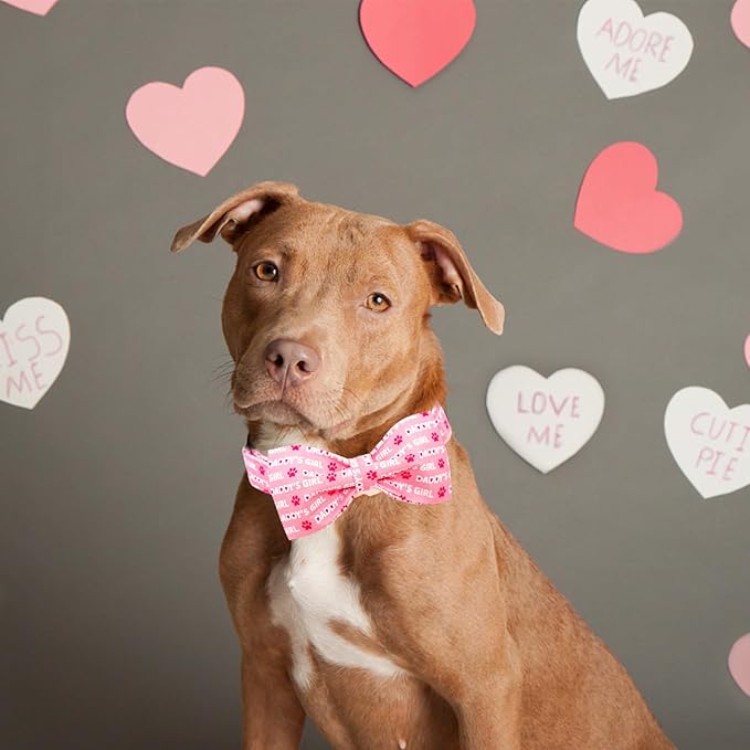 Lionheart glory Dog Bow Collar Valentine's Day Dog Collar for X-Small Dogs, Pink Dog Collars with Bowtie Spring Dog Collar Puppy Collar Bows