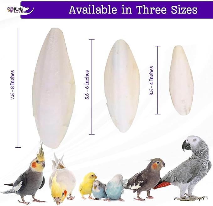 Birds LOVE Natural Cuttlebone – Premium Calcium & Trace Mineral Supplement for Tortoises, Snails, Parakeets, Cockatiels, and All Birds - 6 Pack of 7.5 to 8"
