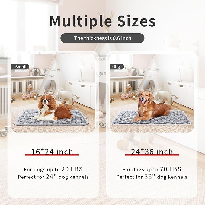 Soft Reversible Dog Crate Mat 2Pcs, Cat Mat - 24x16 Inch, Short Plush Pet Mat, 0.6-inch Thick Thin Dog Mat, Dog Bed Mat for Small Dogs, Machine Washable Ideal for 24-Inch Dog Crates
