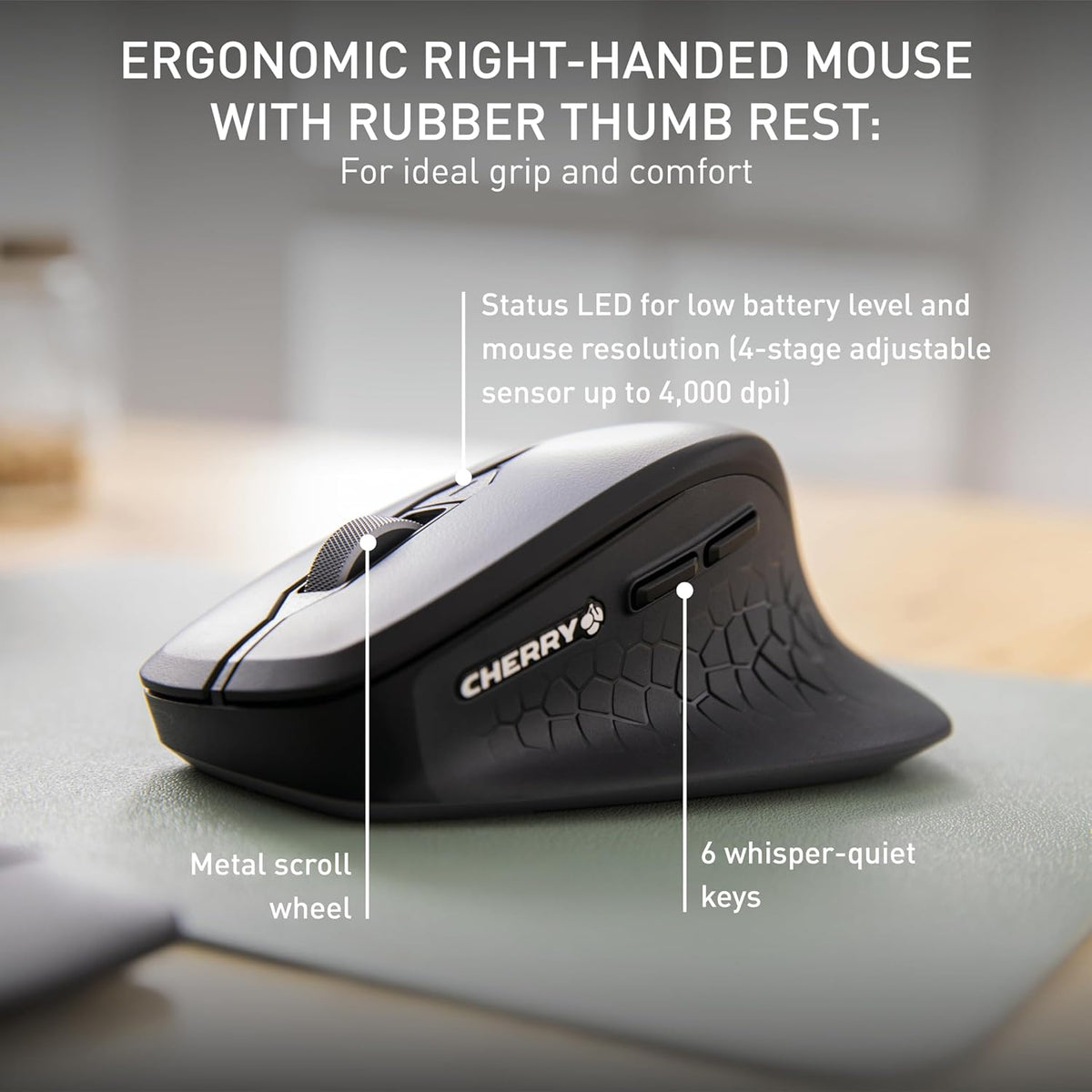 Cherry Stream Desktop Comfort Wireless Keyboard and Mouse Combo