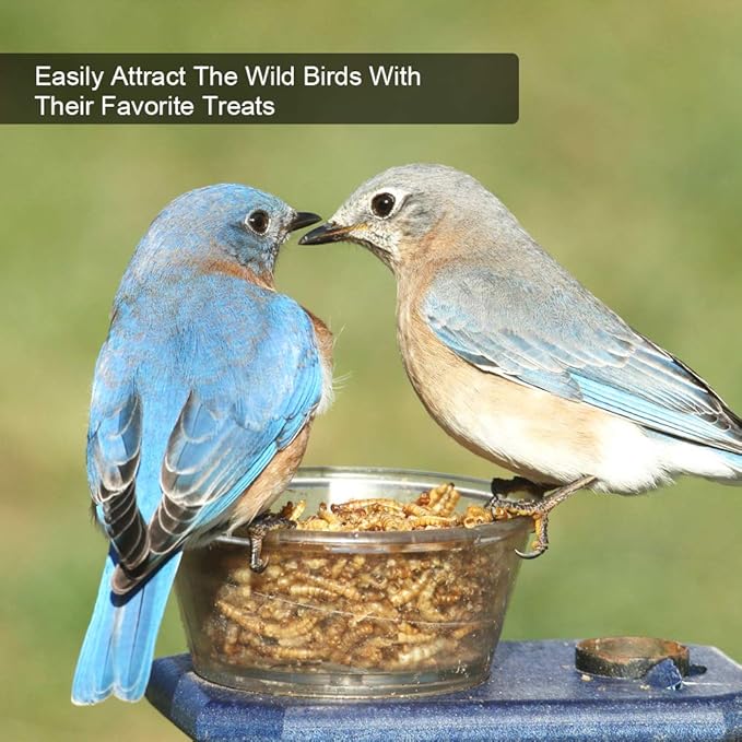 Bulk Mealworms 11Lbs, High-Protein Dried Mealworms, 100% Non-GMO Mealworm Treats for Birds, Chickens, Turtles, Fish, Hamsters and Hedgehogs All Natural Animal Feed