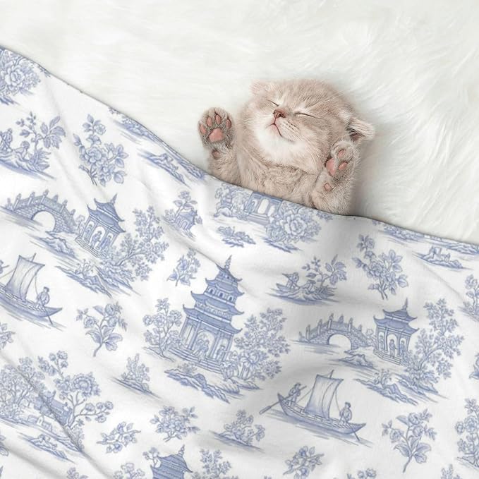 Dog and Cat Blanket in One, Chinese Style Powder Blue Chinoiserie Toile, Double Sided Plush Throw with Raised Dot Pattern on One Side and Flat Velvet on Other for Variety