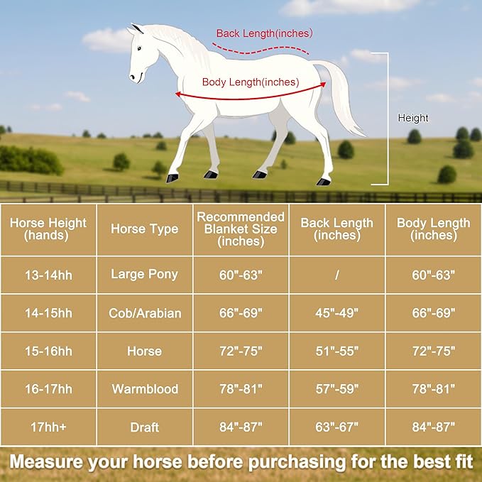 Horse Fleece Cooler, Blanket Liner - 300g Anti-Pilling Fleece, Moisture-Wicking, Cooling & Drying for Post-Workout, Bath & Travel, Prevent Overheating & Chilling Lightblue 81