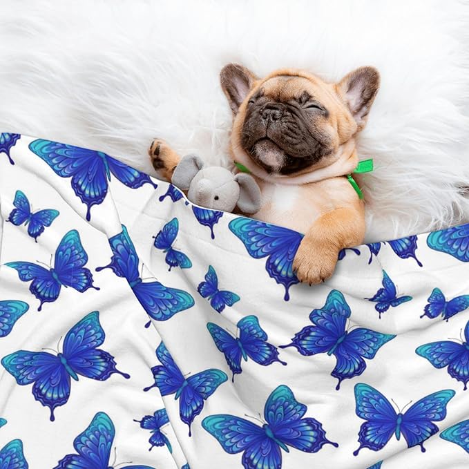 Double Sided Plush Pet Blanket with Cozy Dot Texture and Smooth Reverse, Butterflies Blue Purple, Reversible Throw for Dogs Cats on Couches Beds Crates