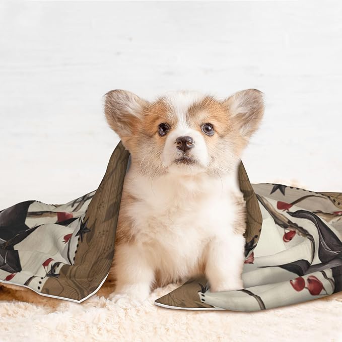 Southwest Blanket for Pet - Vintage Western Throw Blanket 40x30 Star Couch Blankets for Puppy Dogs Cats