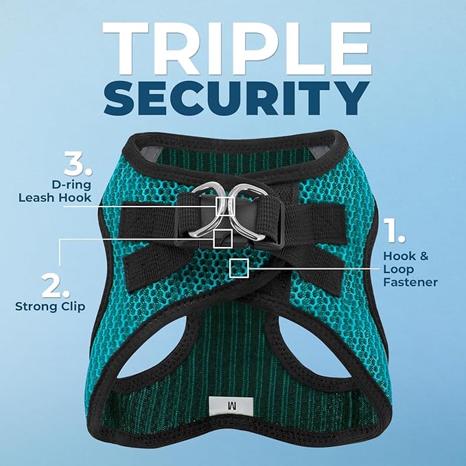 Best Pet Supplies - All Weather Mesh/Plush, Reflective, No Pull Harness for Small, Medium Dogs, Cats - Secure with Hook & Loop Fastener, Buckle, Double D-Rings - Turquoise 2-Tone, XS