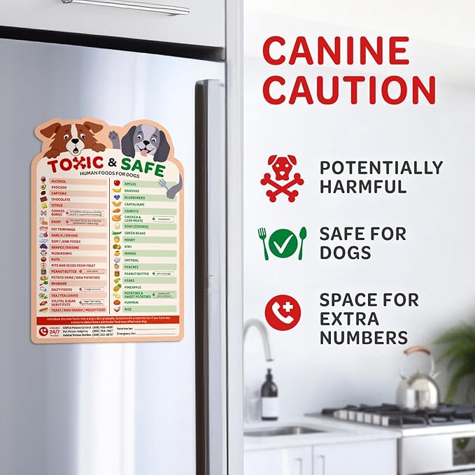 EBPP Magnetic List of Foods Dogs Can Eat - Dog Feeding Chart Fridge Magnet - Foods Dogs Shouldnt Eat Chart Decorative Magnets - Dog Safety Emergency Numbers Magnet - New Puppy Essentials 9.75" x 6.75"