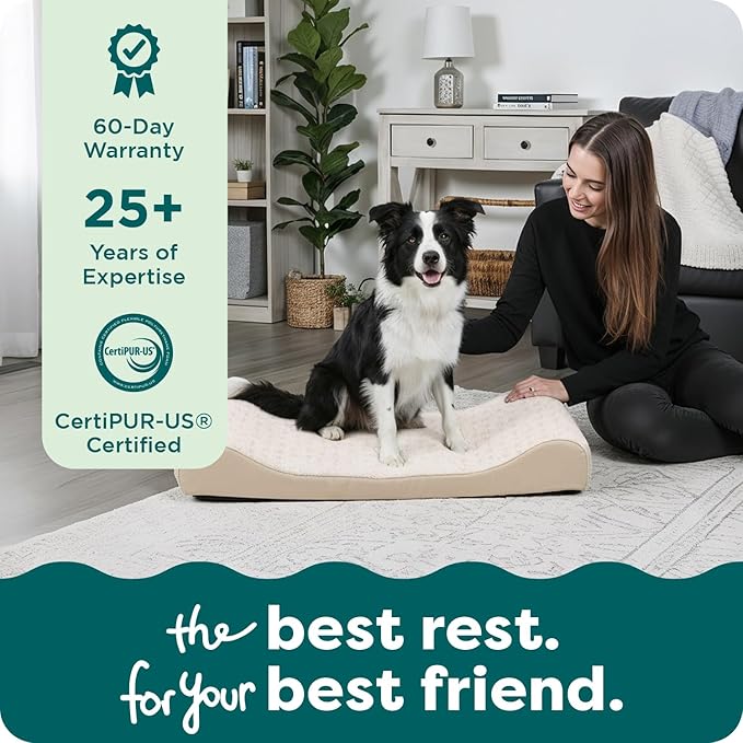 FurHaven Orthopedic Dog Bed for Large/Medium Dogs, Luxe Lounger Contour Mattress with Medical-Grade Solid Orthopedic Foam for Joint Support, Removable Washable Cover, Large, Plush Suede, Cream