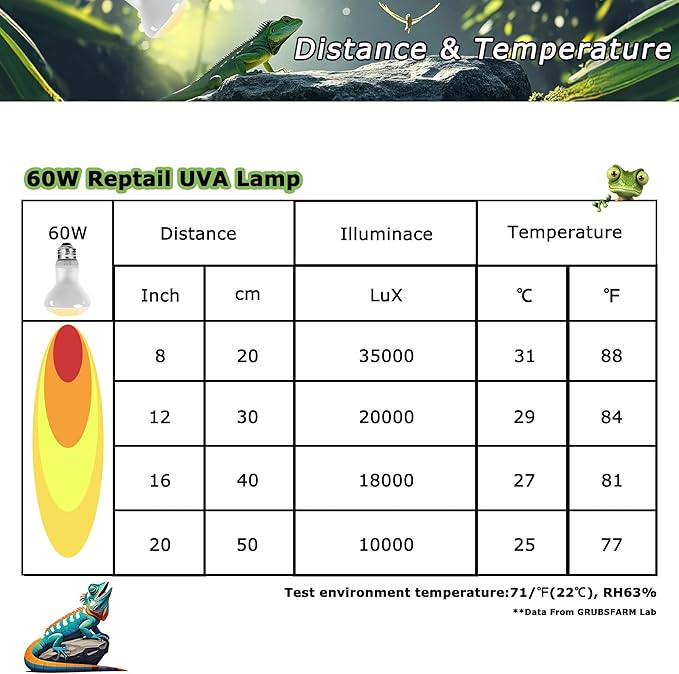 60W UVA Reptile Heat Lamp Bulbs, Basking Spot Light for Bearded Dragon, Lizard, Tortoise, Chicks & Amphibians – Simulated Sunlight, Daylight Bulb for Terrarium | 2 Pack, 2.5 Inch