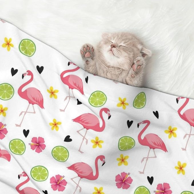 Pet Blanket for Couches and Beds, Cute Pink Flamingo, Reversible Double Sided Plush Design with Soft Bumpy Texture and Smooth Surface, Furniture Protector