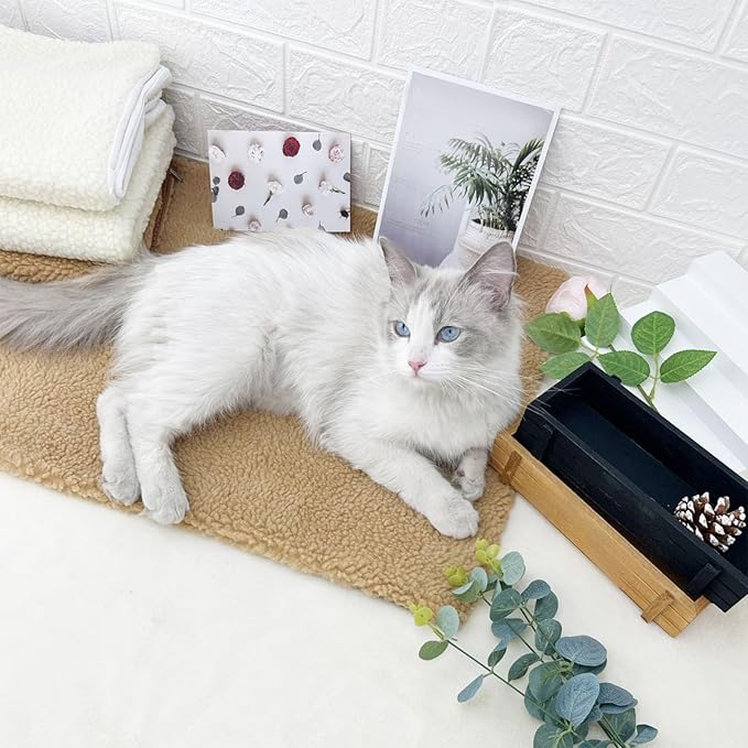 Dog Bed Pad Soft Comfortable Faux Lamb Wool Pet Sleeping Mat Durable Pet Bed Mat for Indoor Use Gift for Dogs Cats Small Medium Large Pets (White)
