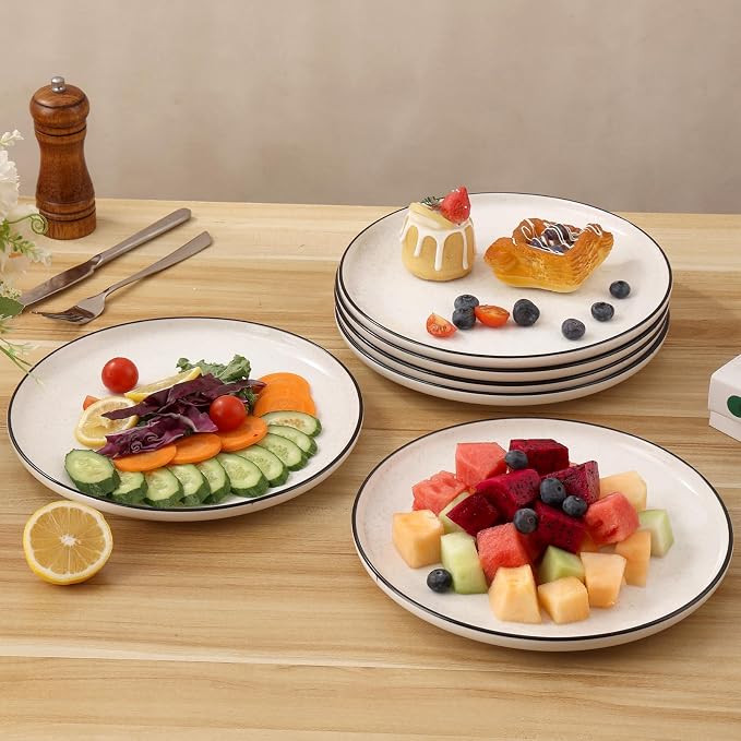 Ceramic White Dinner Plates Set of 6, 10.5 Inch Plates