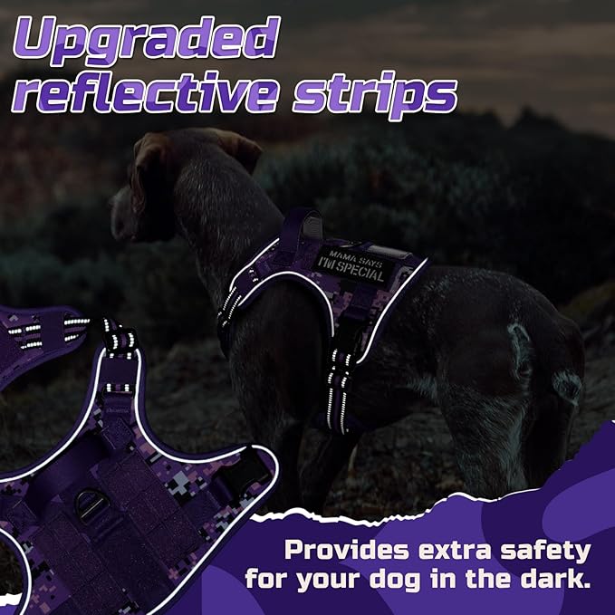 rabbitgoo Tactical Dog Harness Medium Sized Dog, No Pull Military Service Vest with Handle & Molle, Easy Control for Training Walking, Adjustable Reflective Straps, Purple Camo, M