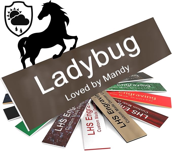 Personalized Horse Stall Name Plates, 2x12 Horse Stall Signs with Adhesive, All Weather UV Protected, Brown Plastic White Letters - Made in USA - B25