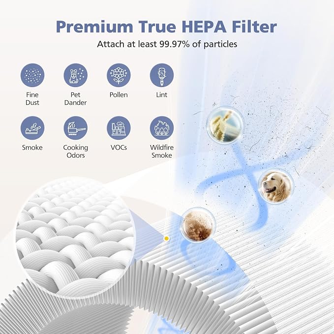 2-Pack H13 Filter Compatible