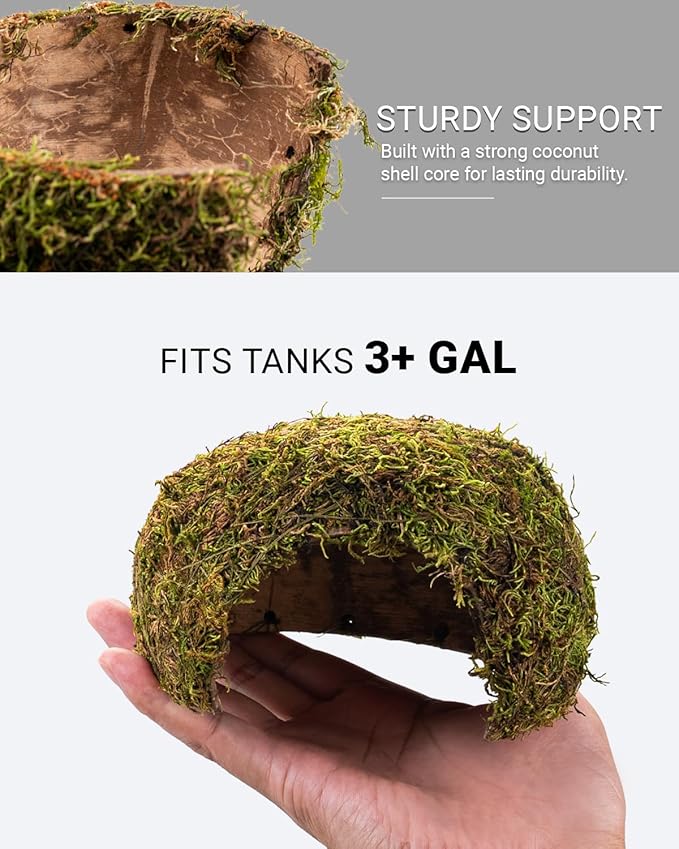 Reptile Hides and Caves – Leopard Gecko Tank Accessories, Natural Dome Reptile Cave & Shelter, Gecko Tank Accessories & Hermit Crab Shelter, 5.5×6.5×3in