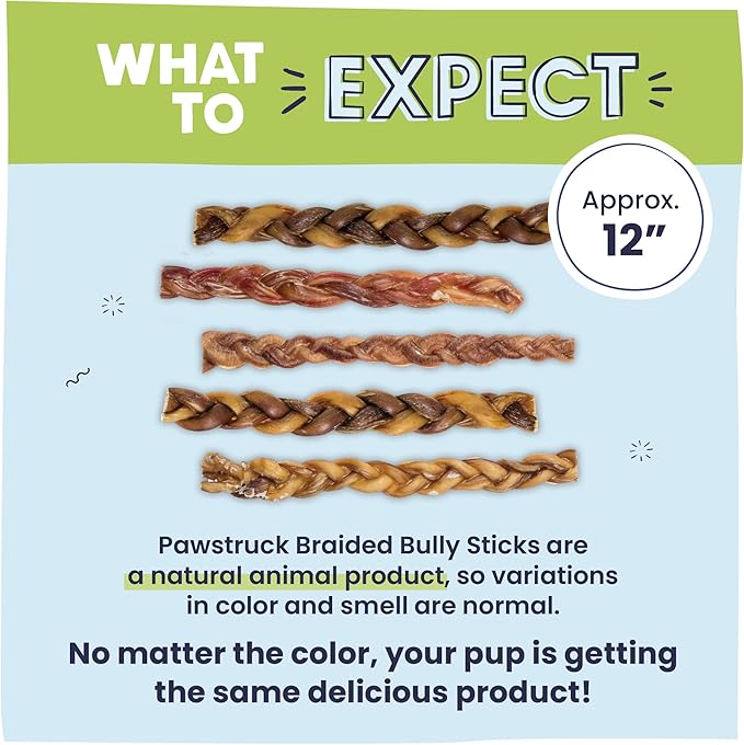 Pawstruck Natural 12” Braided Bully Sticks for Dogs - Tough, Long-Lasting, Rawhide-Free, Low Odor, Healthy Single Ingredient Chew Treat for Aggressive Chewers - 25 Count - Packaging May Vary