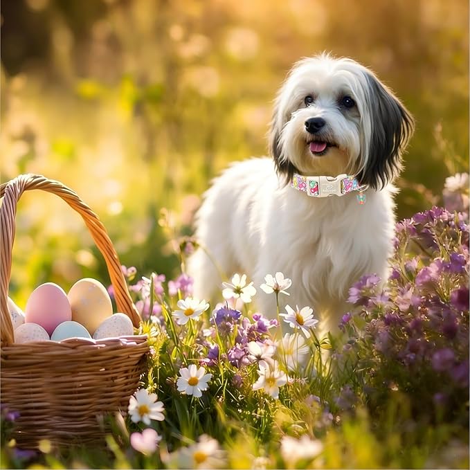 Easter Dog Collar for Large Dogs - Colorful Bunny Print Easter Collar for Male Female Dogs, Lightweight Adjustable Spring Holiaday Dog Collars with Quick Release Buckle L
