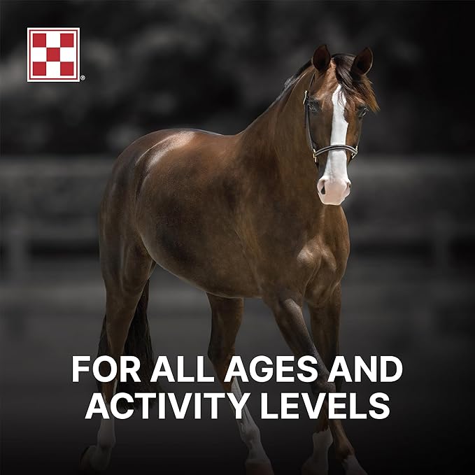 Purina | RepleniMash™ Product | for Horse Recovery | 25 Pound (25 LB)
