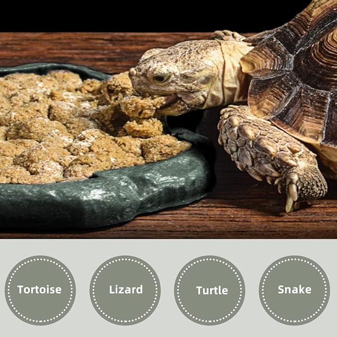 AYNEFY Reptile Food Water Rock Bowls,Resin Reptile Feeder Lizard Feeding Dish Amphibian Feeder Bowl Terrarium Decor for Bearded Dragons Leopard Gecko Frog Snake(Emerald