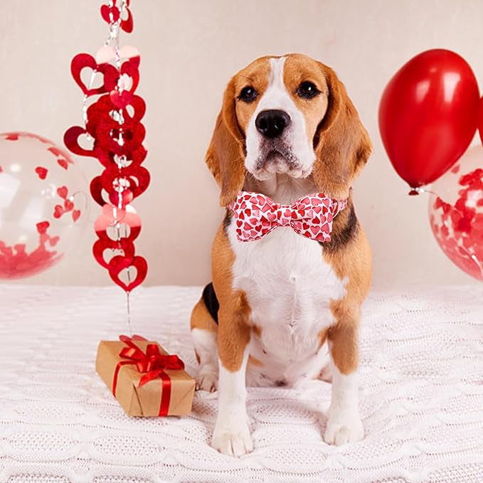 Lionheart glory Dog Bow Collar Valentine's Day Dog Collar for Large Dogs, Hearts Dog Collar with Bowtie Spring Dog Collar Pet Collar Bows