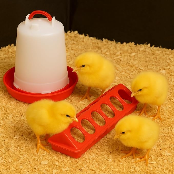 Amakunft 5 in 1 Chick Brooder Box Small Animals Chicken Playpen with Pad Mat, Chick Waterer and Feeder Pop Up Playpen Tent Chicks Coop Indoor/Outdoor for Baby Chicken/Duck