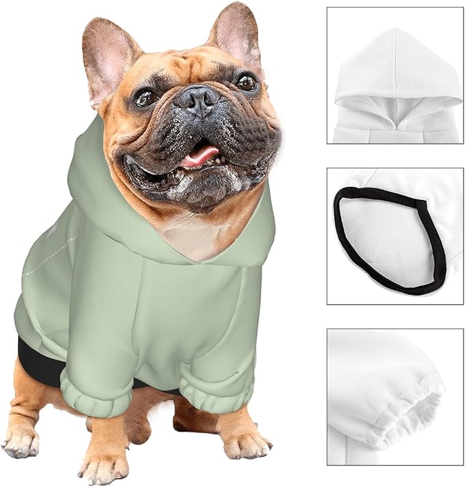 Personalized Chihuahua Dog Hoodie, Custom Pet Warm Sweatshirt Costume with Name Number Photo, Customize ID Clothes for Pupppy Kitten Dogs Cats, LightGreen, L