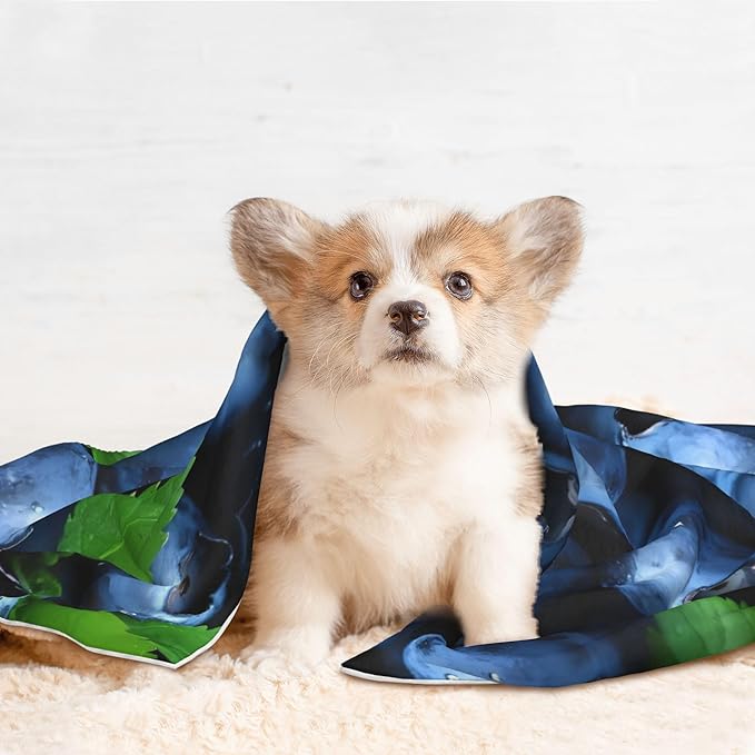 Waterproof Dog Blanket Soft Pet Blanket for Puppy Cat, Fleece Cat Throw Blankets for Furniture Bed Couch Sofa Reversible - Fresh Blueberries