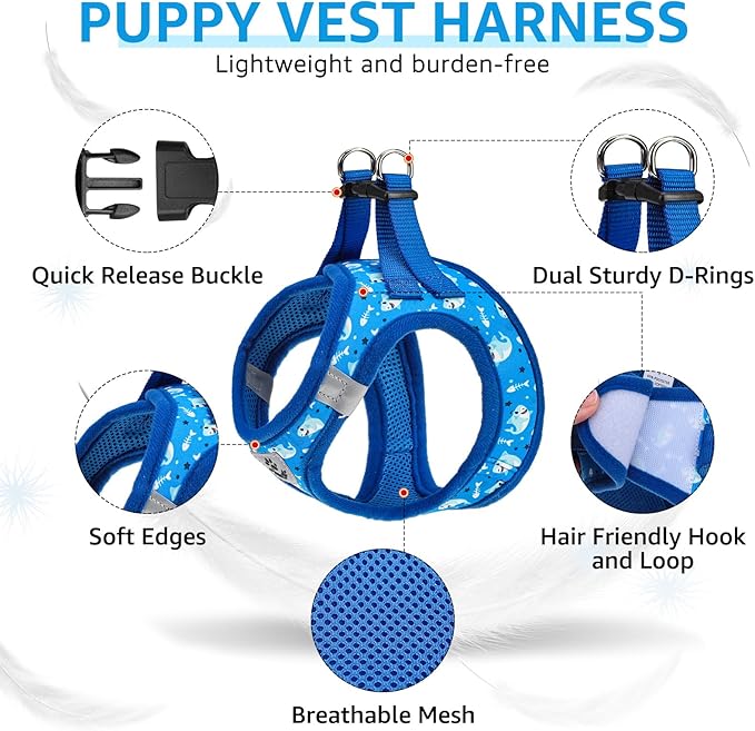 SCENEREAL Small Dog Harness and Leash Collar Set, Step in Soft Light Puppy Vest, Breathable Pet Harness for Small Sized Dogs, No Chock Reflective for Safe Outdoor Walking, Blue Shark M