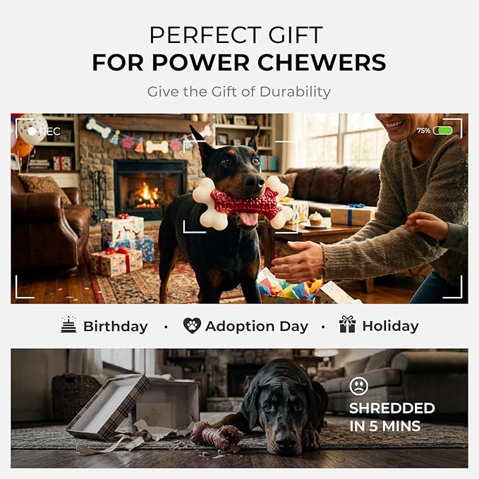 6-Pack Indestructible Dog Toys for Aggressive Chewers: Beef Flavored Hard Nylon Bone Chew Toys, Tough Dog Chew Toys for Large Dogs, Dog Toys to Keep Them Busy for Medium Large Breed, Red